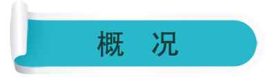 概况 概况